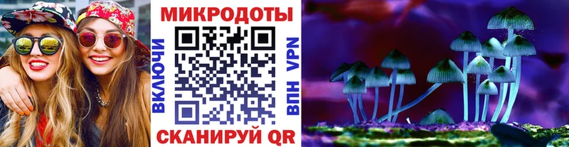 Галлюциногенные грибы Psilocybine cubensis  Прохладный 